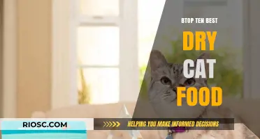 Purr-fect Picks: The Best Dry Cat Food Options for Your Feline Friend