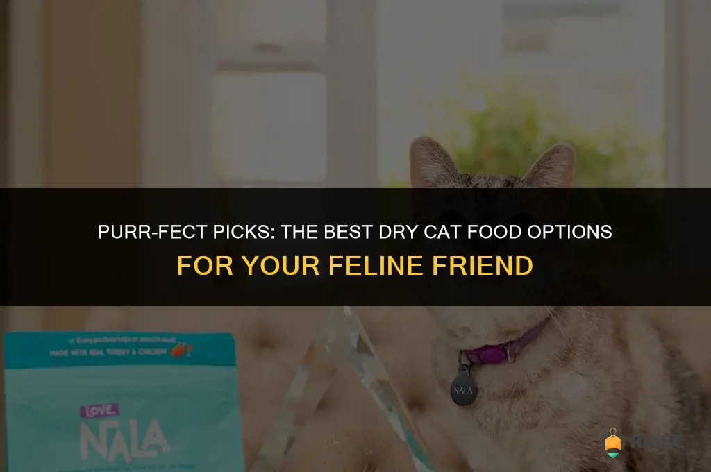 btop ten best dry cat food