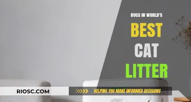 Unwanted Guests: Bugs Found in Top-Rated Cat Litter Brands
