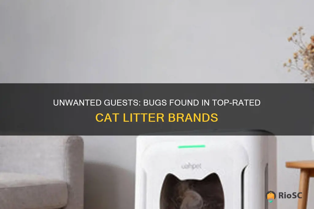 bugs in world