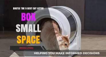 Top Space-Saving Cat Litter Boxes for Compact Homes: Bustle's Picks