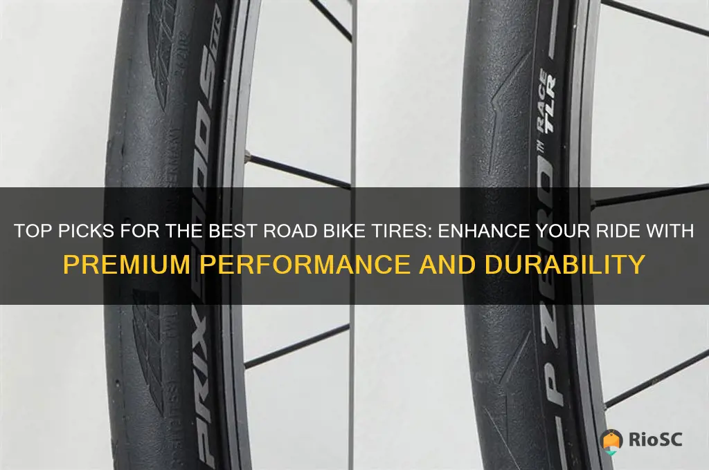 buy best road bike tires