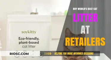 Where to Buy the World's Best Cat Litter: Top Retailers for Happy Cats and Clean Homes