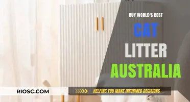 Discover the World's Best Cat Litter in Australia: Top Picks for a Clean and Happy Home