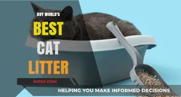Revolutionize Your Cat Care: Discover the World's Best Cat Litter for a Cleaner, Fresher Home