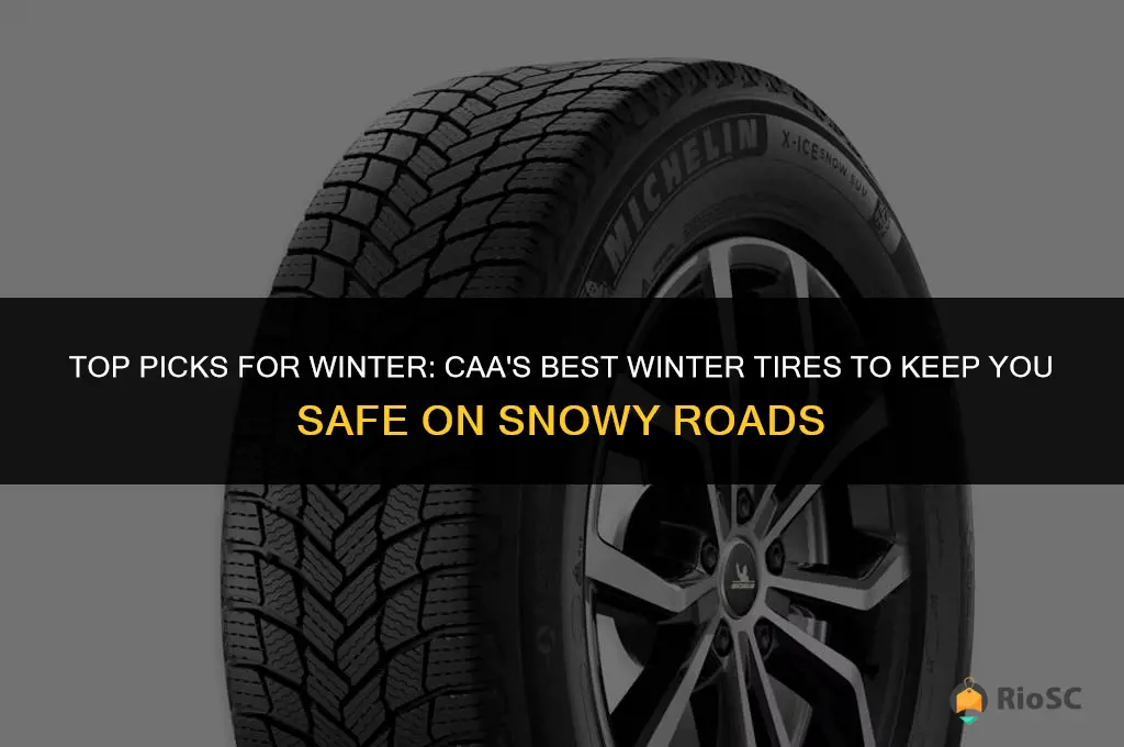 caa best winter tires
