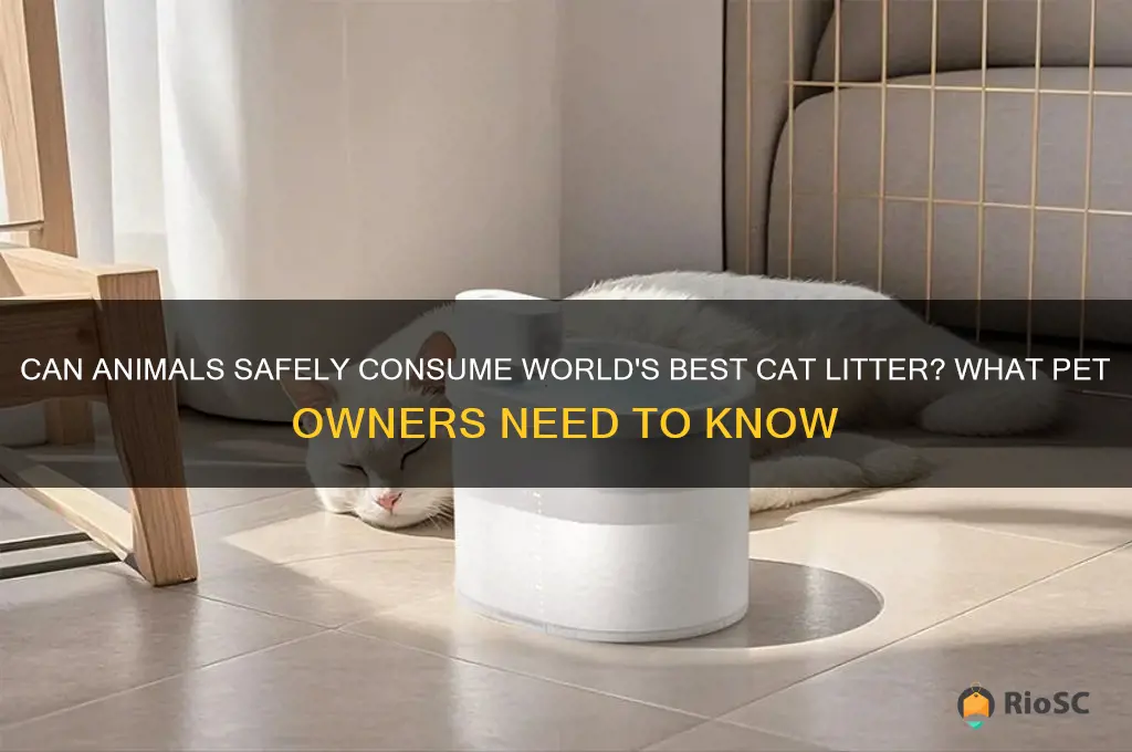 can animals eat worlds best cat litter
