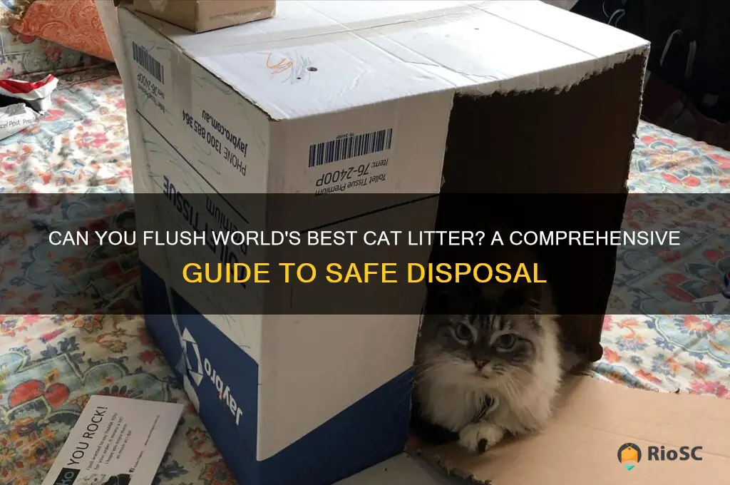 can i flush world