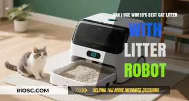 Is World's Best Cat Litter Compatible with Litter-Robot? A Comprehensive Guide