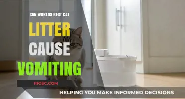 Can the World's Best Cat Litter Cause Vomiting? Understanding Potential Risks and Safe Alternatives