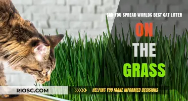 Can You Spread World's Best Cat Litter on the Grass? A Guide to Eco-Friendly Disposal and Lawn Safety