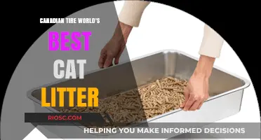 Canadian Tire’s World’s Best Cat Litter: A Game-Changer for Pet Owners?
