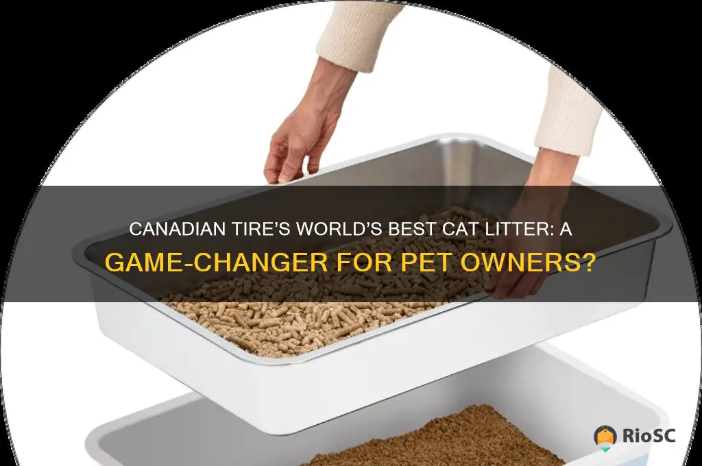 canadian tire world