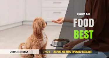 Top Picks for Your Furry Friend: The Best Canned Dog Foods of 2024