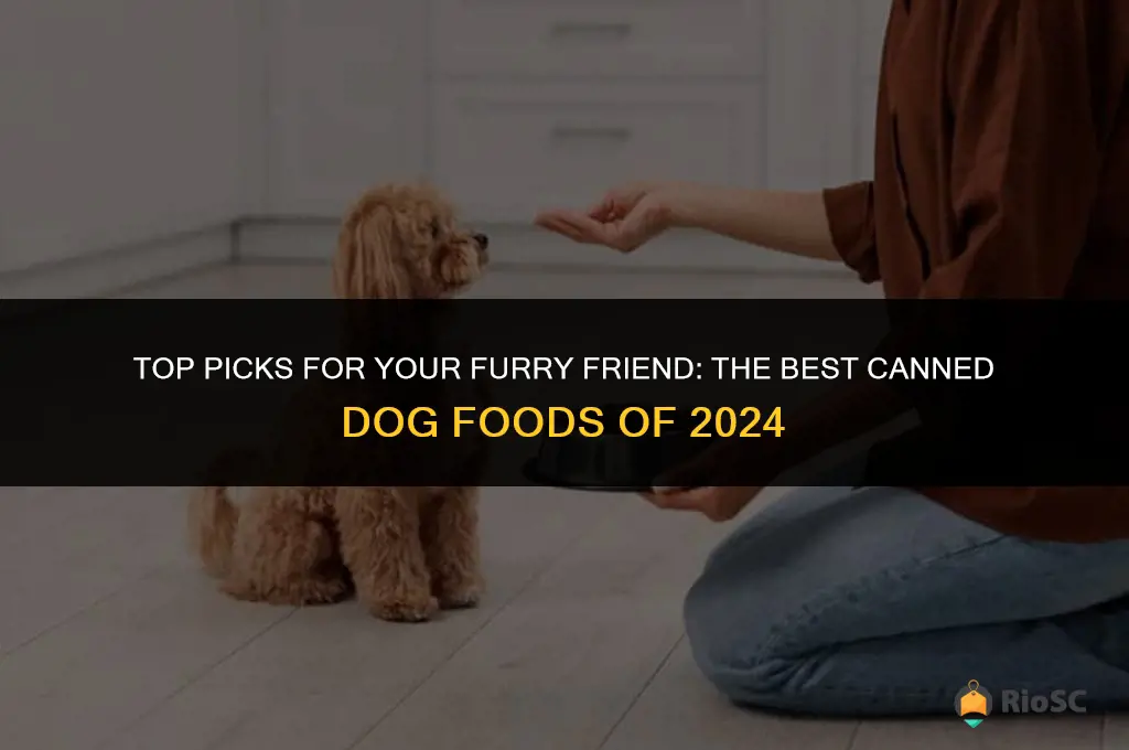 canned dog food best