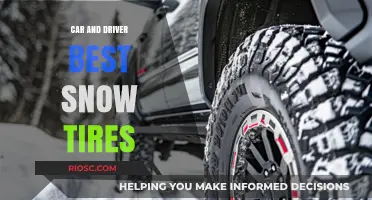 Top Picks for Winter Roads: Car and Driver's Best Snow Tires Roundup