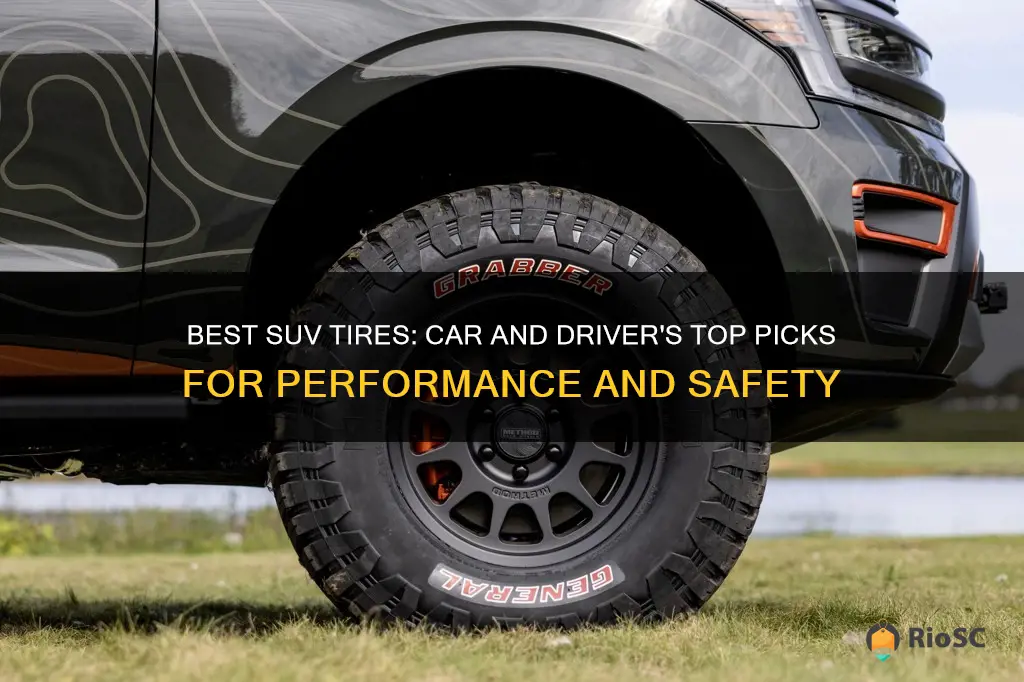 car and driver best suv tires