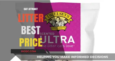 Cat Attract Litter: Where to Find the Best Price for Effective Odor Control