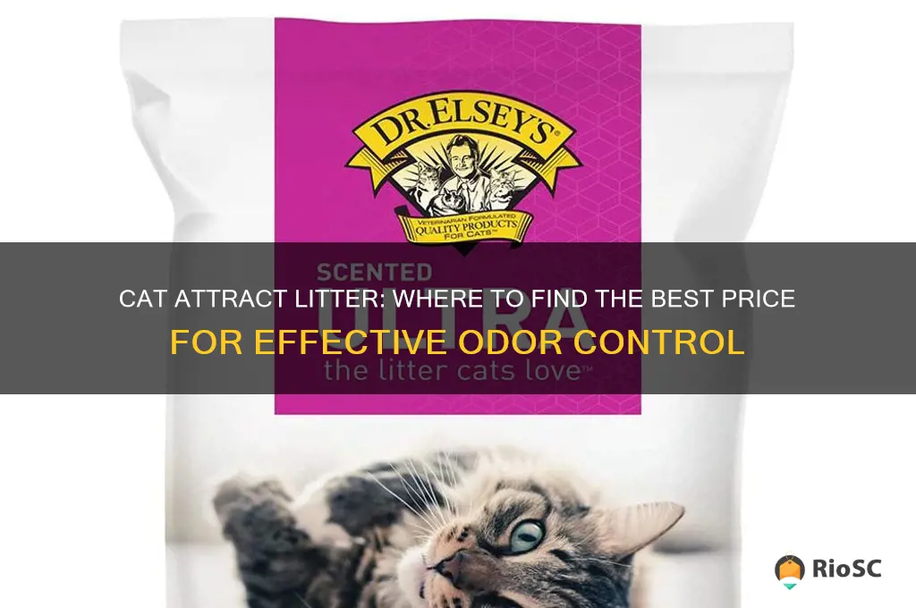 cat attract litter best price