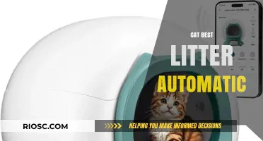 Revolutionize Your Cat Care: Discover the Best Automatic Litter Solutions