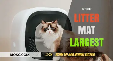 Extra-Large Cat Litter Mat: The Ultimate Solution for Mess-Free Floors