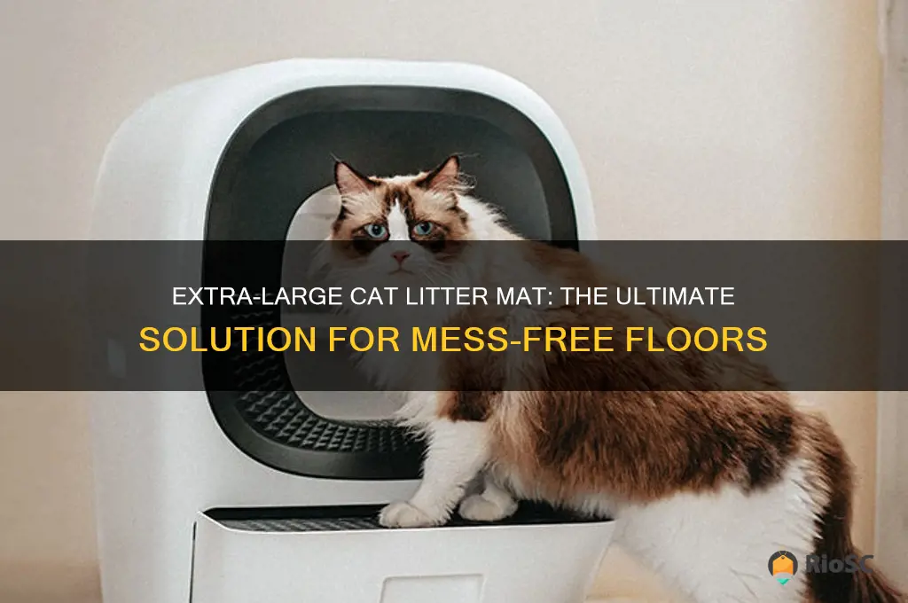 cat best litter mat largest