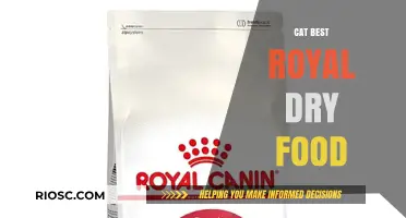 Top-Rated Royal Dry Food Options for Your Feline Companion