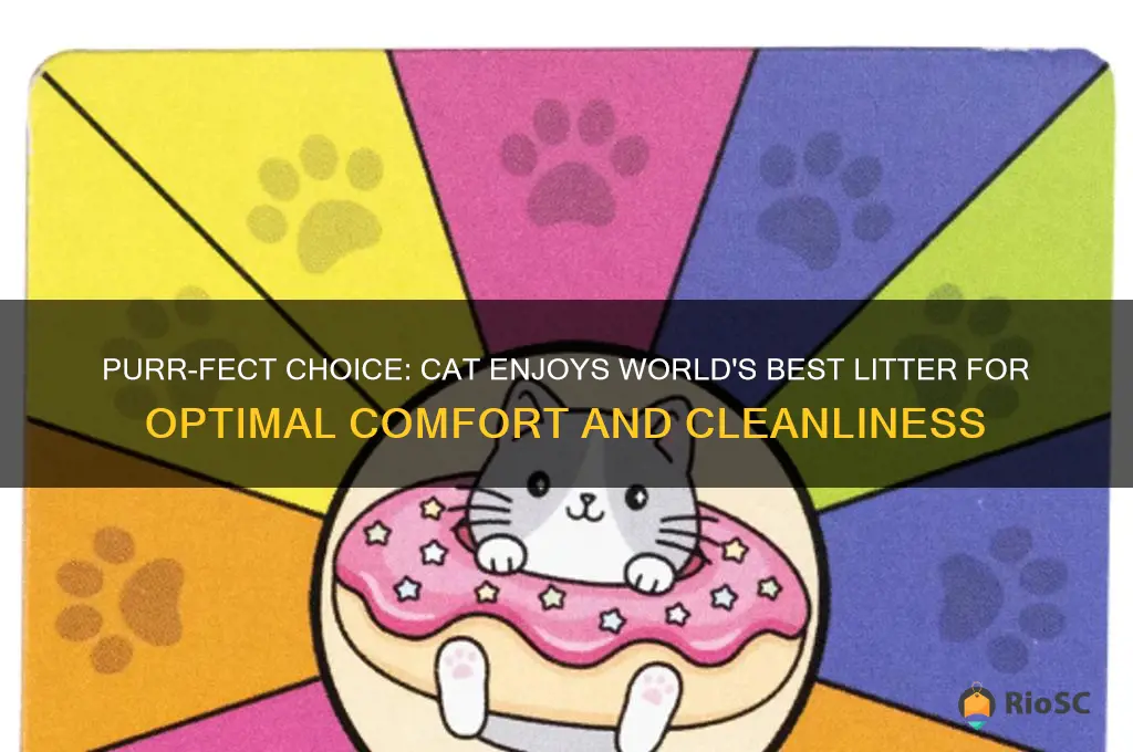 cat eating world