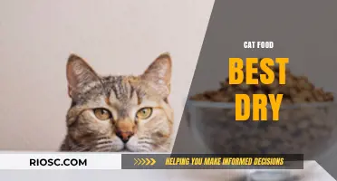 Top Picks for Your Feline Friend: The Best Dry Cat Food Options