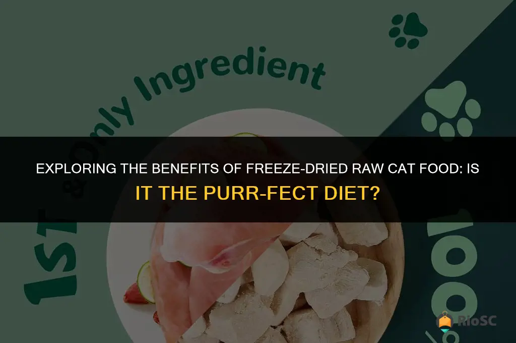 cat food freeze dried raw best diet