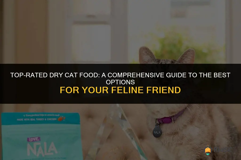 cat food rated best dry