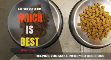 Exploring the Great Debate: Wet vs. Dry Cat Food - Which Option Reigns Supreme for Your Feline Friend?
