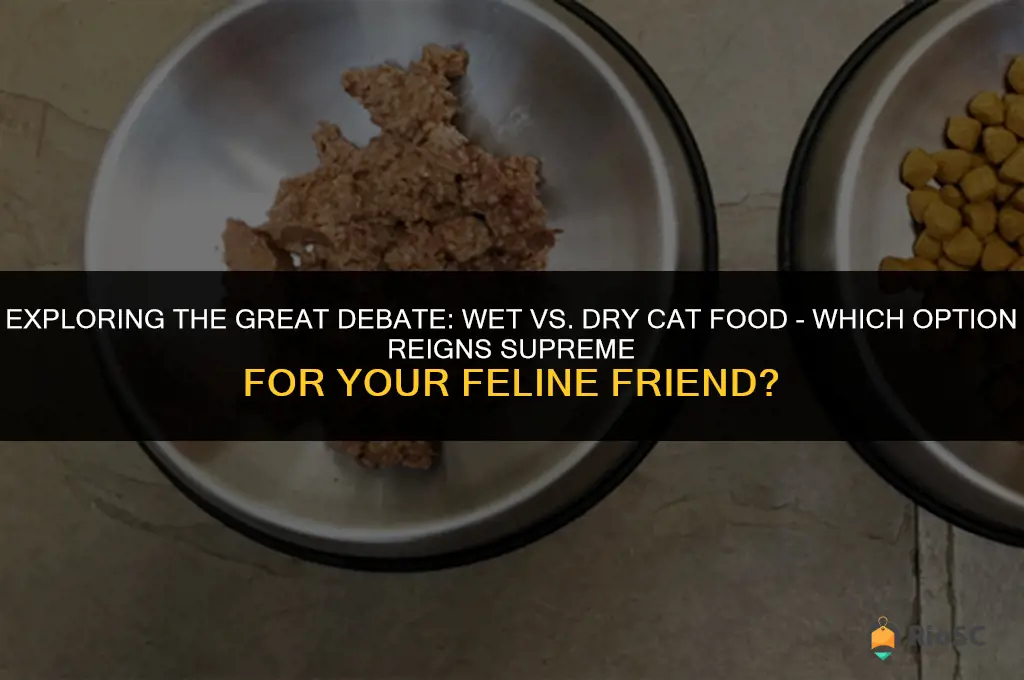 cat food wet or dry which is best