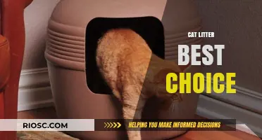 Choosing the Best Cat Litter: A Comprehensive Guide to Top Options for Your Feline Friend