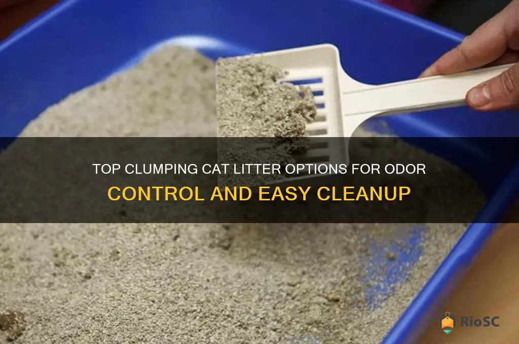 cat litter best clumping