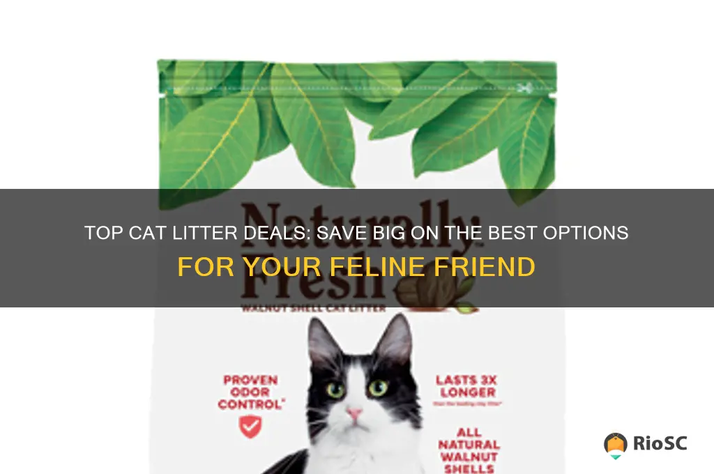 cat litter best deal
