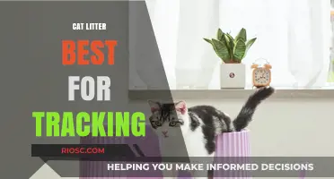 Top Cat Litter Options to Minimize Tracking: Keep Your Home Clean and Tidy