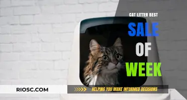 Purr-fect Savings: This Week’s Best Cat Litter Deals You Can’t Miss!