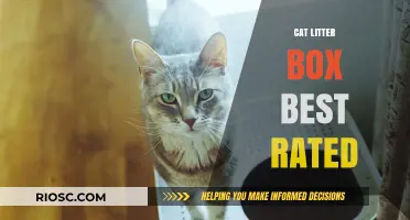 Top-Rated Cat Litter Boxes: Expert Picks for Cleanliness, Odor Control, and Feline Comfort