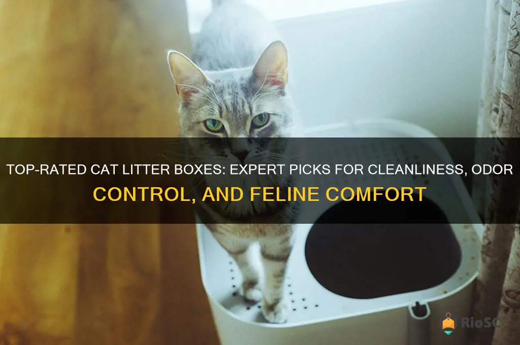 cat litter box best rated
