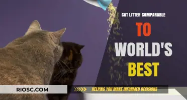 Purr-fect Match: Cat Litter Brands That Rival World's Best in Quality and Performance