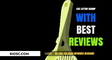 Top-Rated Cat Litter Scoops: Discover the Best-Reviewed Tools for Effortless Cleaning
