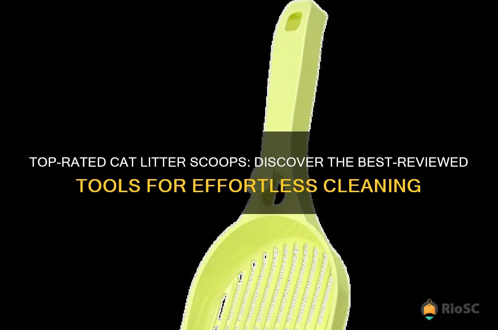 cat litter scoop with best reviews