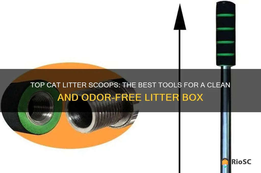 cat litter scoops the best