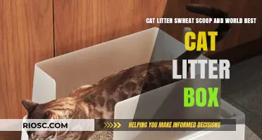 Swheat Scoop vs. World's Best Cat Litter: Which Eco-Friendly Option Reigns Supreme for Your Feline Friend?