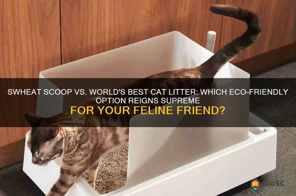 cat litter swheat scoop and world best cat litter box