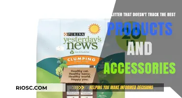 Top Non-Tracking Cat Litter Options and Accessories for a Cleaner Home