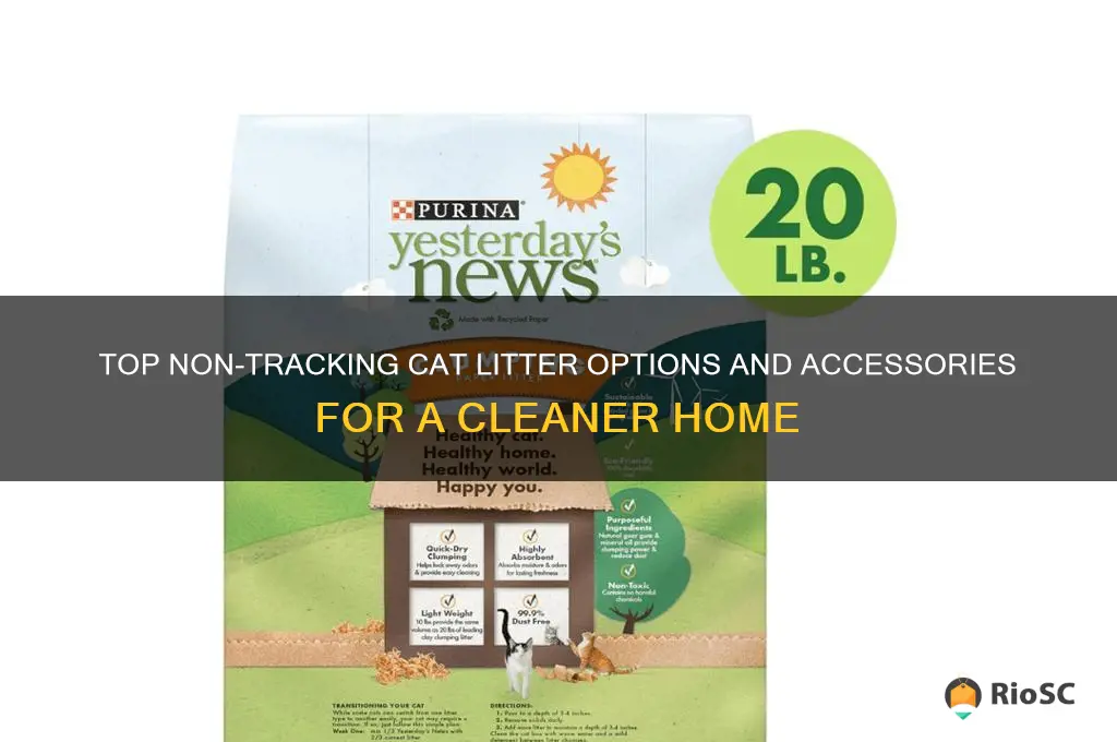 cat litter that doesn