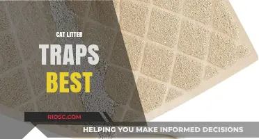 Top Cat Litter Traps: Effective Solutions for a Cleaner Home