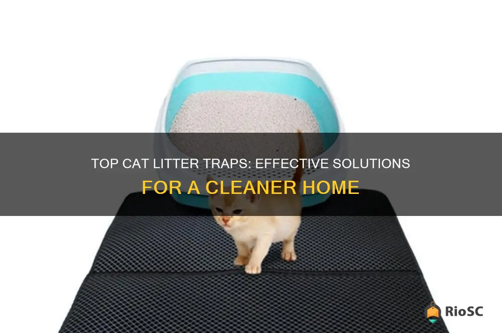 cat litter traps best